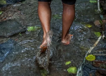 risco, doenças, infecciosas;