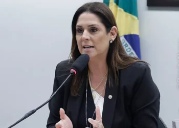 interrupção, voluntária da, gravidez;