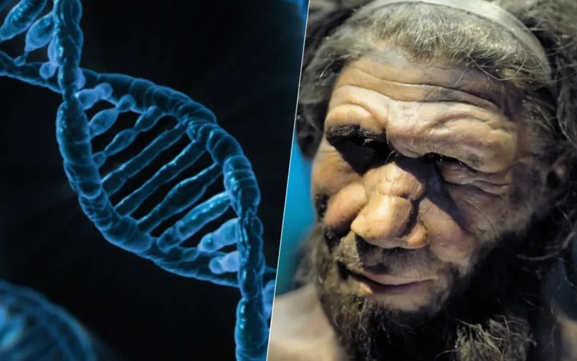 DNA, genes de Neandertal, herança, Neandertal, homem, Neandertal;