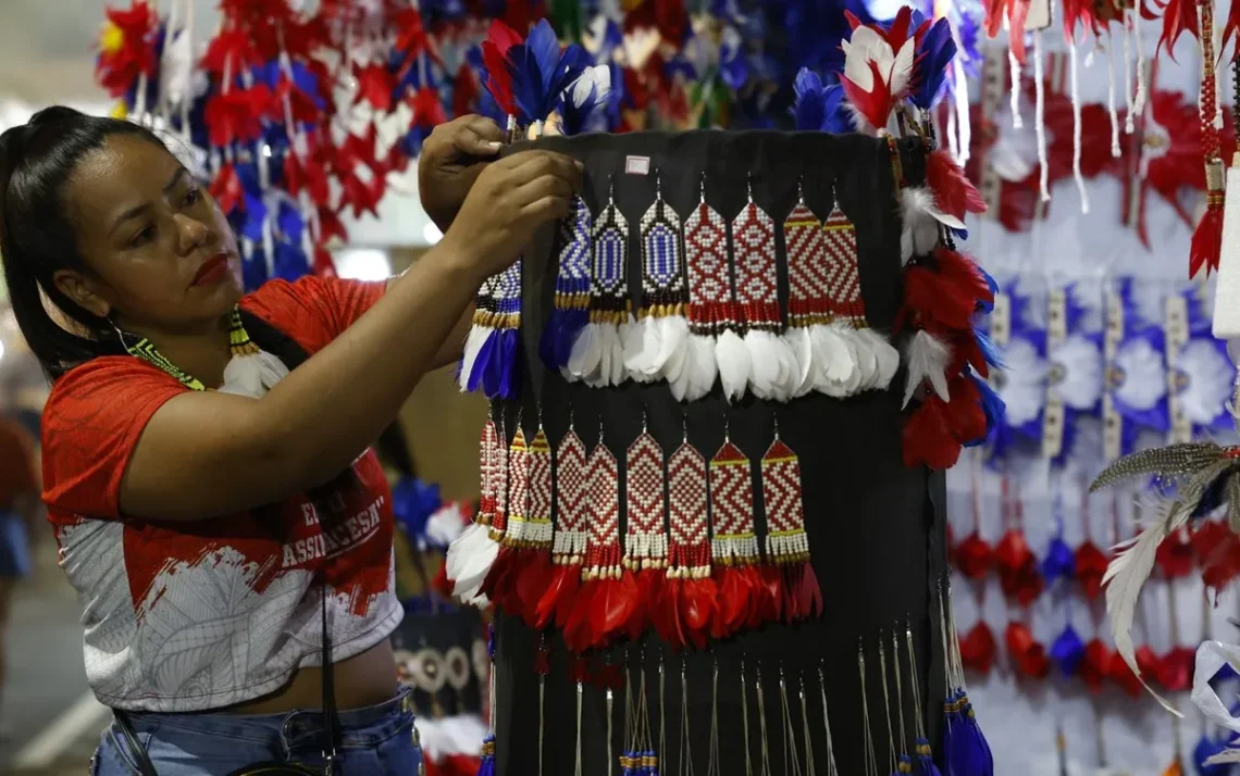 Festival, Folclórico de, Parintins;