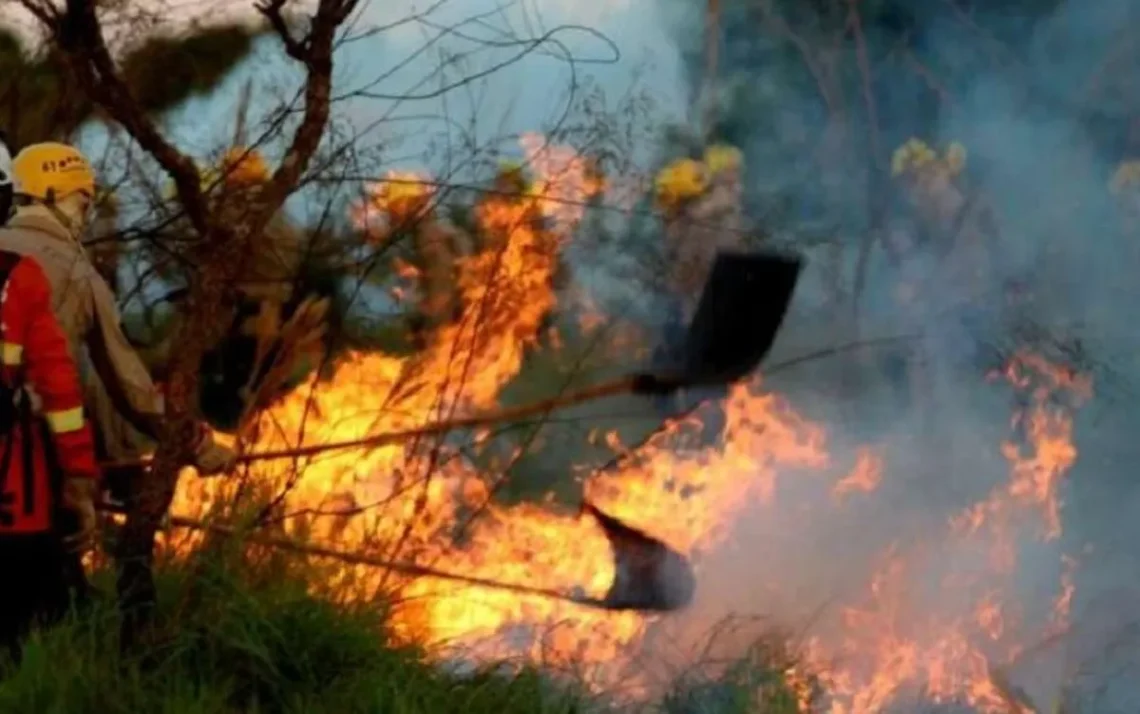 incêndios, focos, de fogo;