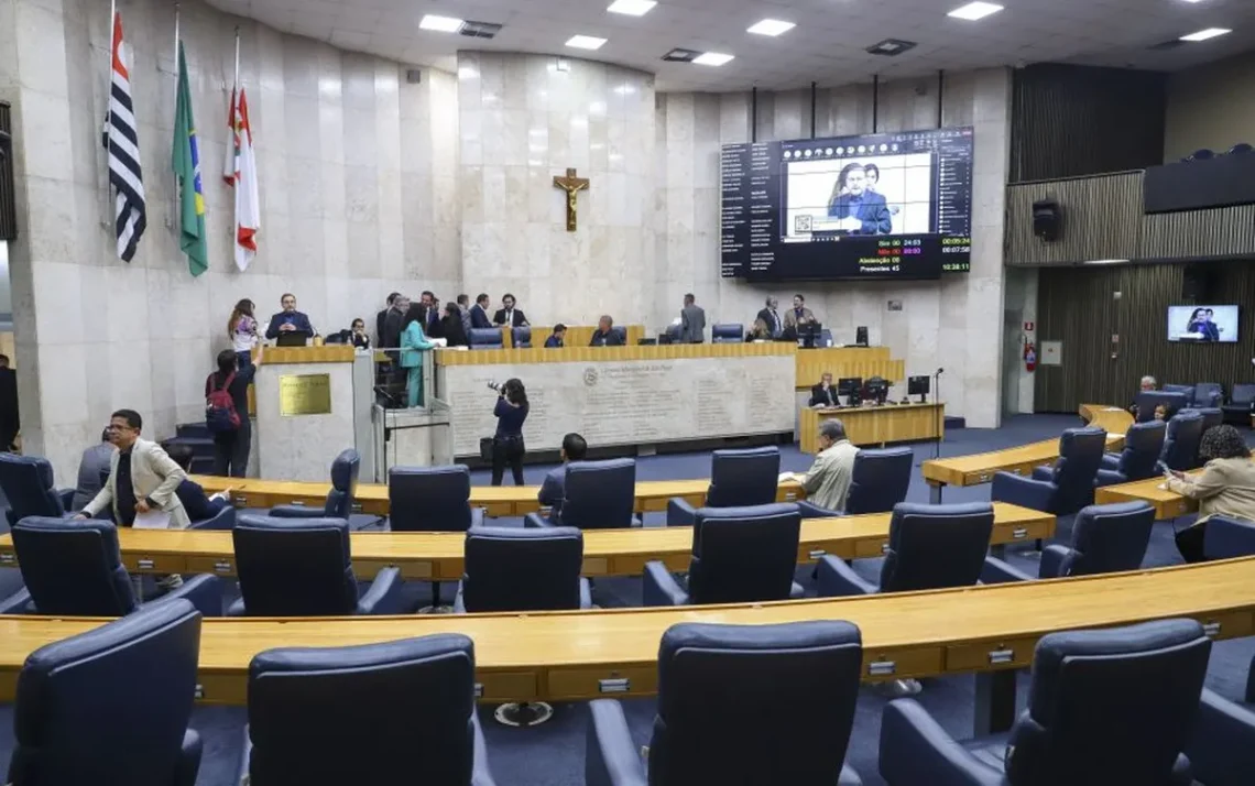 vereadoras, candidaturas, femininas, quota, de gênero;