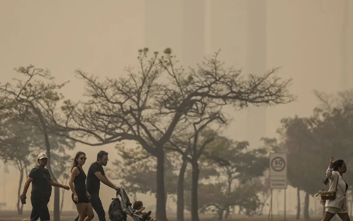 fumo, poluição, atmosférica, neblina;