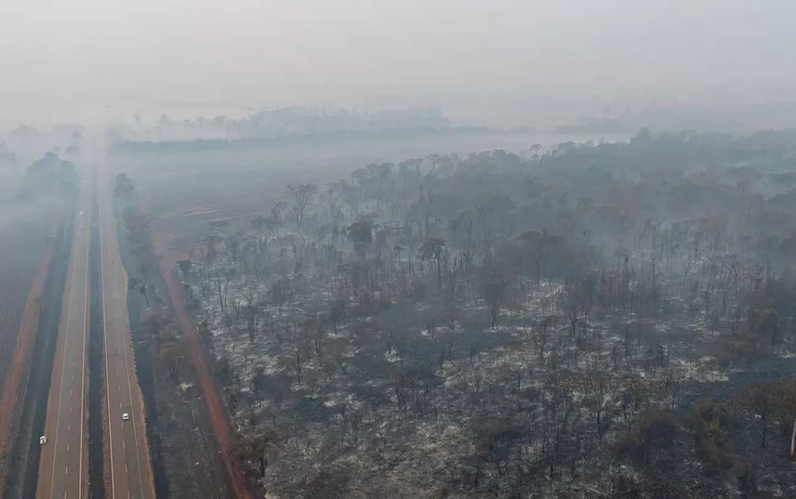 queimadas, focos de incêndio, chamas;