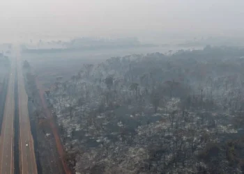 queimadas, focos de incêndio, chamas;