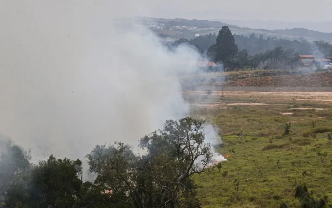 incêndios, provocados, atos criminosos, criminosos de, fogo;