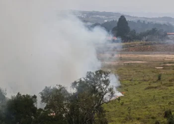 incêndios, provocados, atos criminosos, criminosos de, fogo;