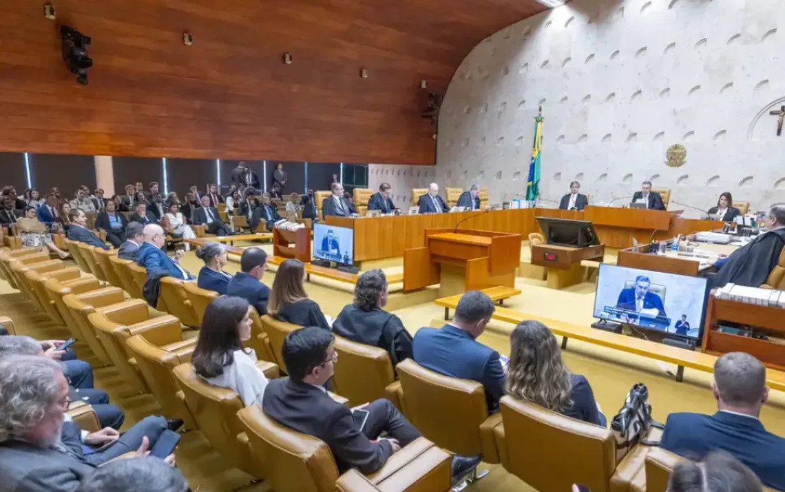 interrupção, voluntária de, gravidez;