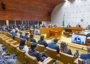 interrupção, voluntária de, gravidez;