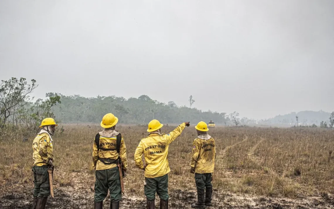 incêndios, chamas, queimadas;