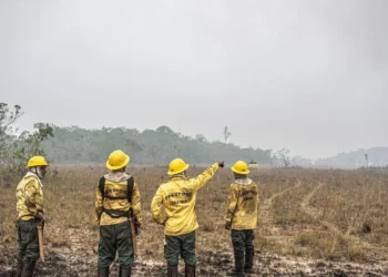 incêndios, chamas, queimadas;