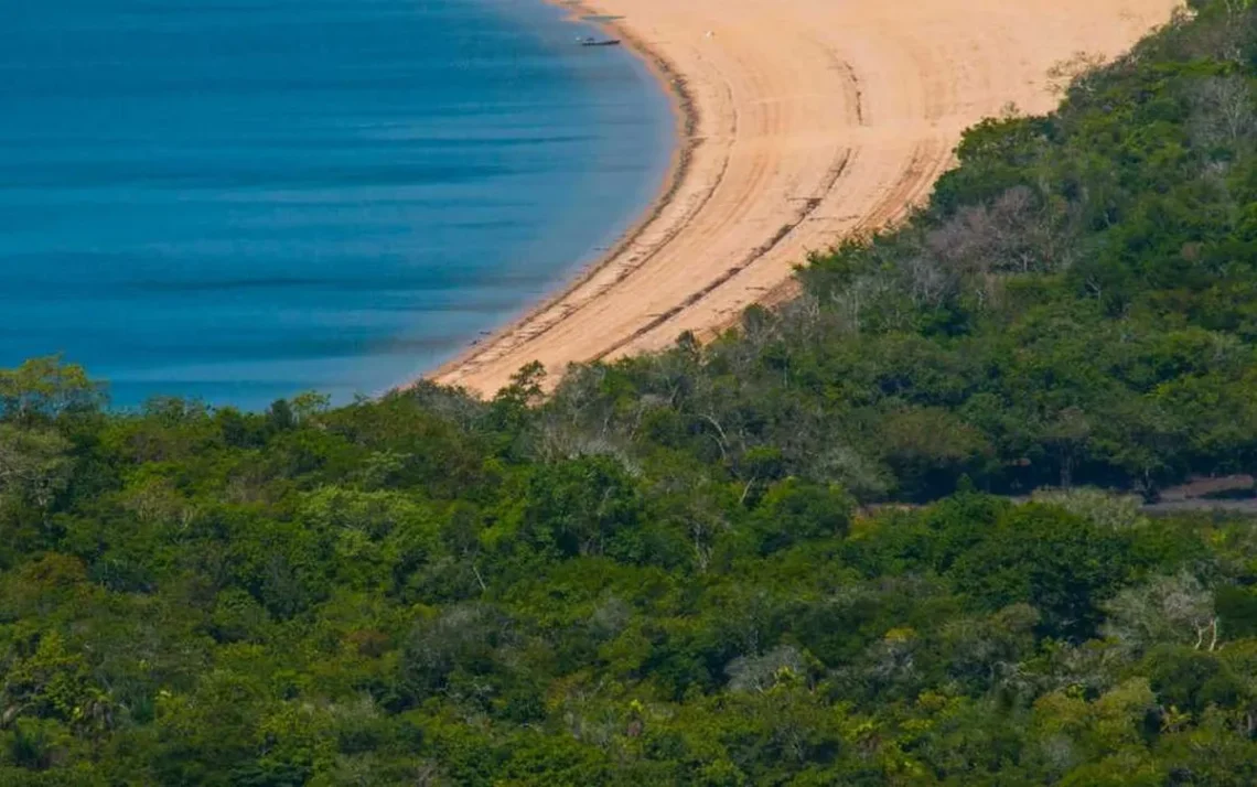 Amazonia, floresta, tropical;