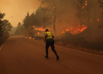 incêndios florestais, incêndios devastadores;