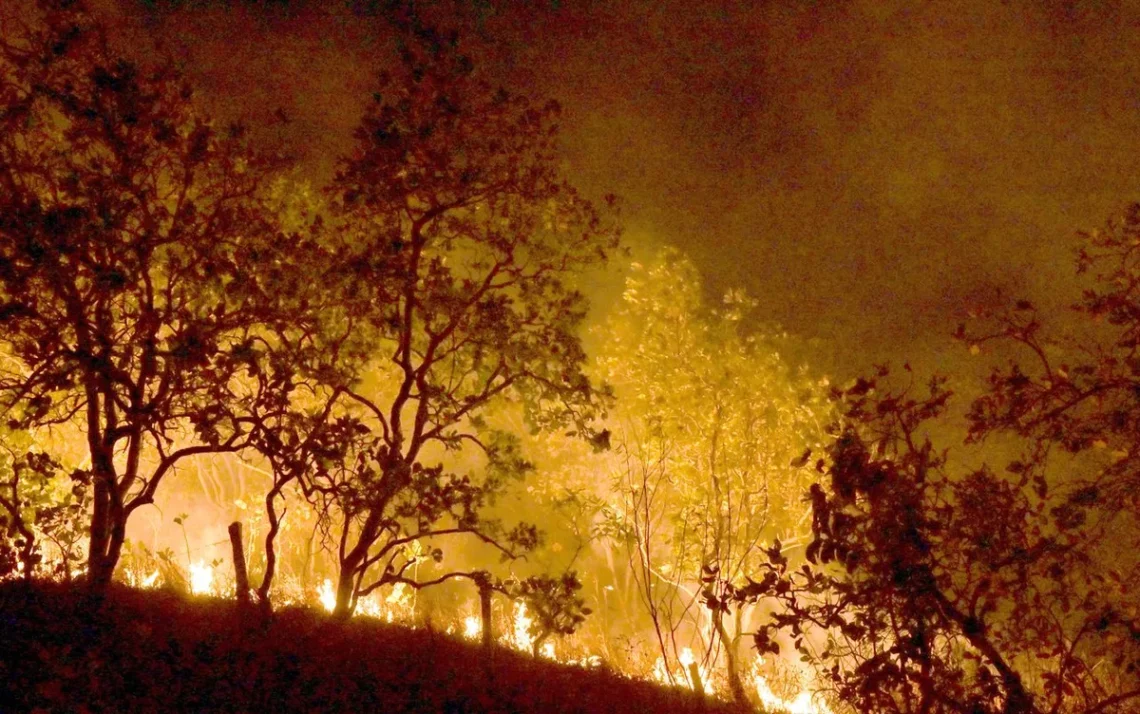 incêndios, chamas, focos de fogo;