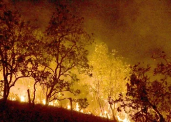 incêndios, chamas, focos de fogo;