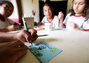 recuperação de aprendizagens, reorganização educacional, melhoria da educação;