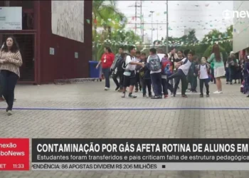 instituições, de, ensino, estabelecimentos, de, ensino, colégios;