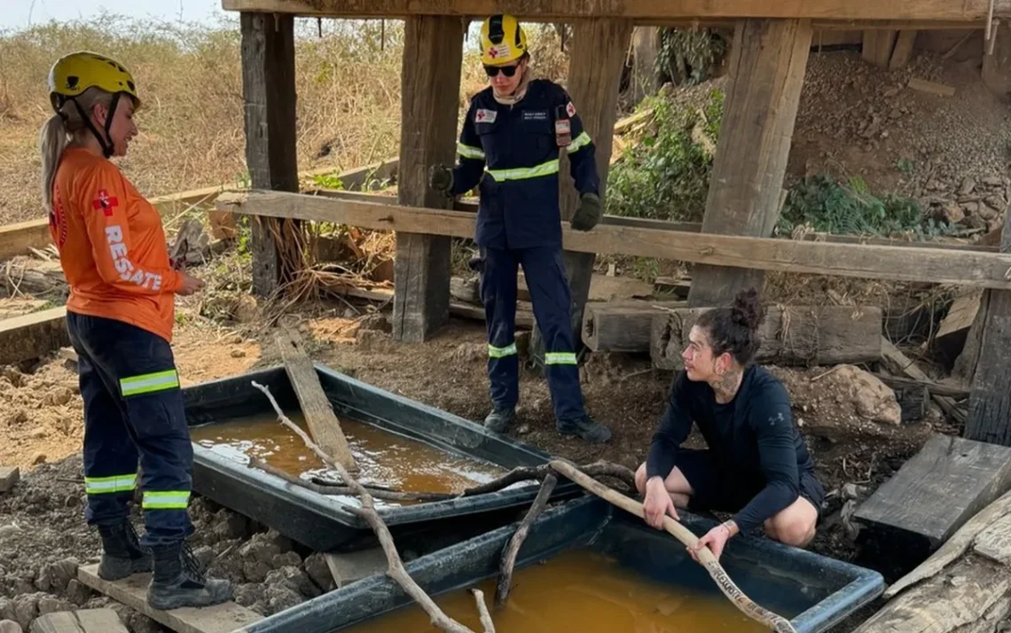 incêndios, incêndios florestais, fogo;