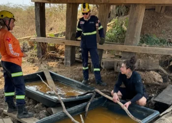 incêndios, incêndios florestais, fogo;