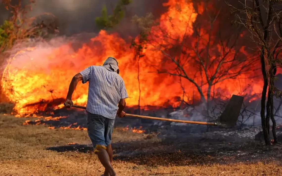 incêndios, focos, incêndio, queimados;