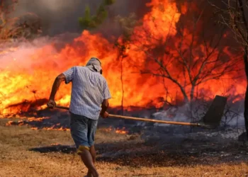 incêndios, focos, incêndio, queimados;