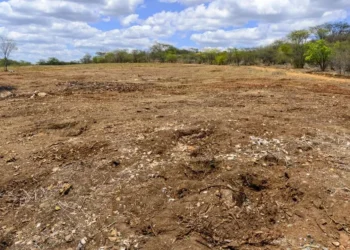 degradação do solo, perda da fertilidade, degradação contínua;