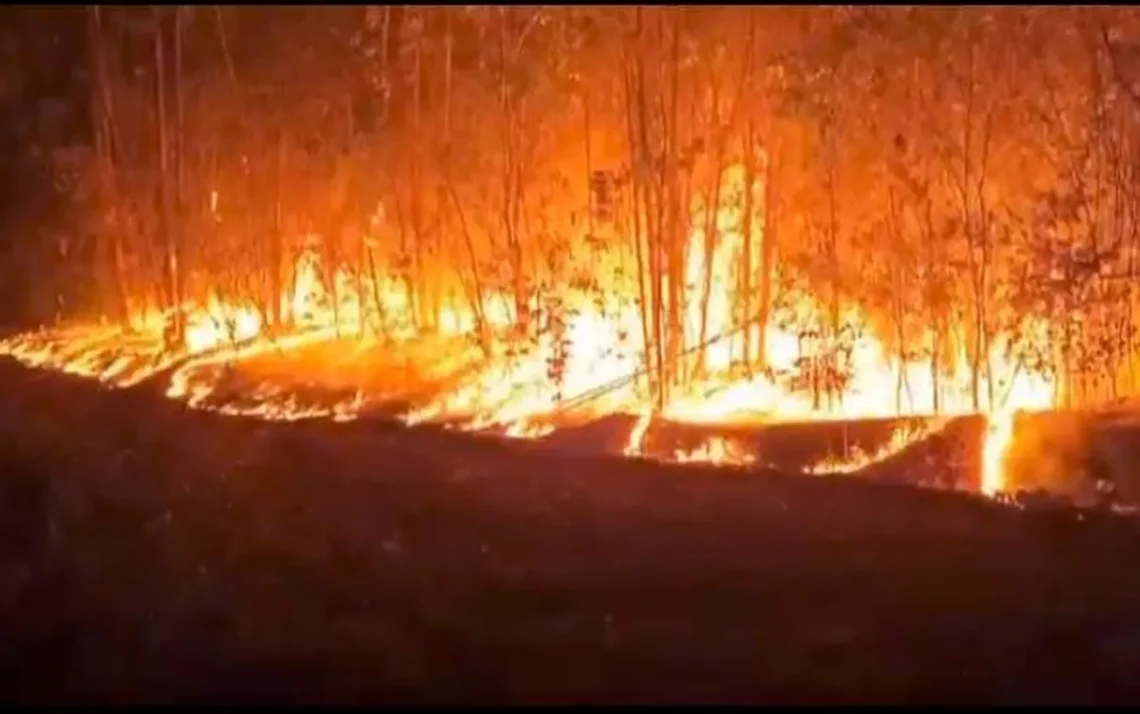 fogo, queimadas, chamas;