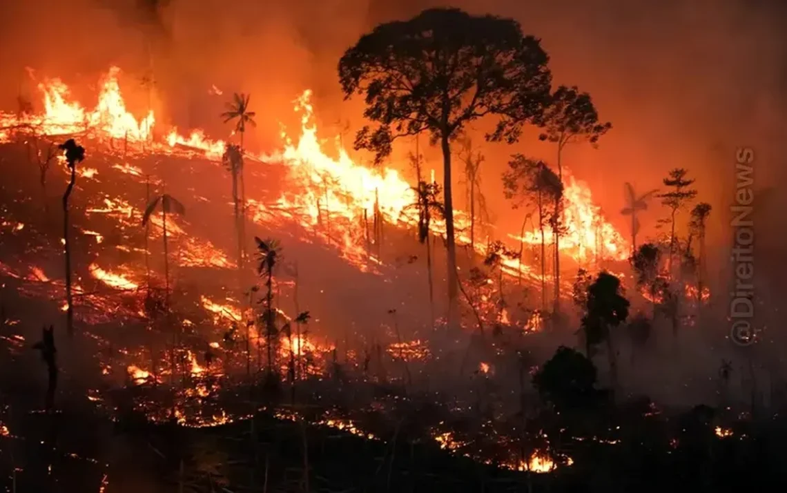 fogo, queimadas;