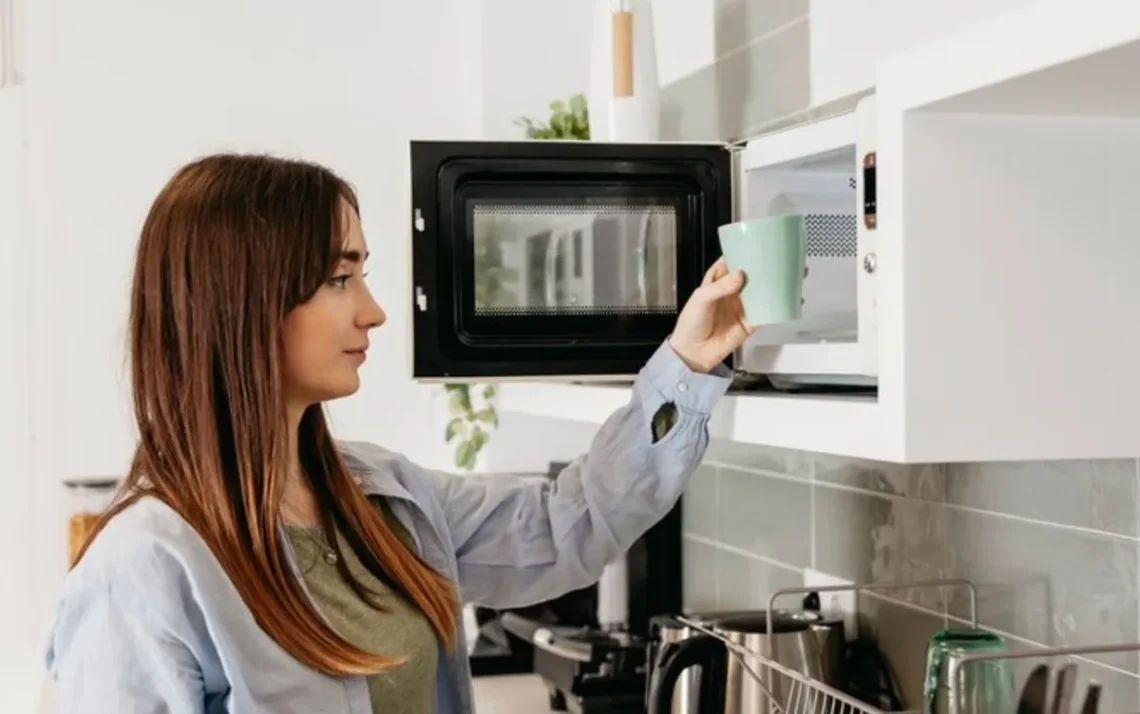 forno de micro-ondas, forno micro-ondas, micro-ondas de cozimento;