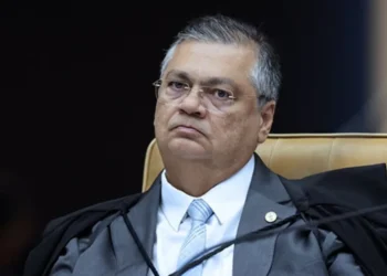 Ordem, dos Advogados, do Brasil, CFOAB, Conselho, Federal da, OAB;