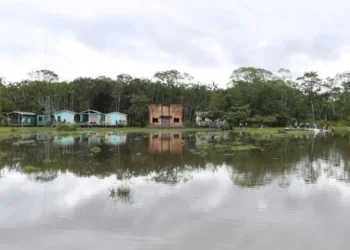 saúde, atenção, à saúde, cuidados, de saúde;