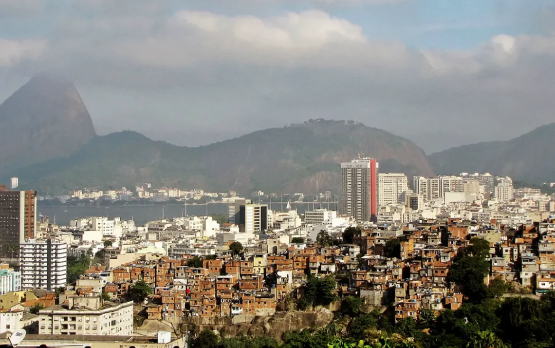 ativistas, mobilização, líderes