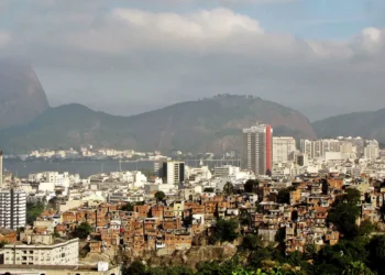 ativistas, mobilização, líderes