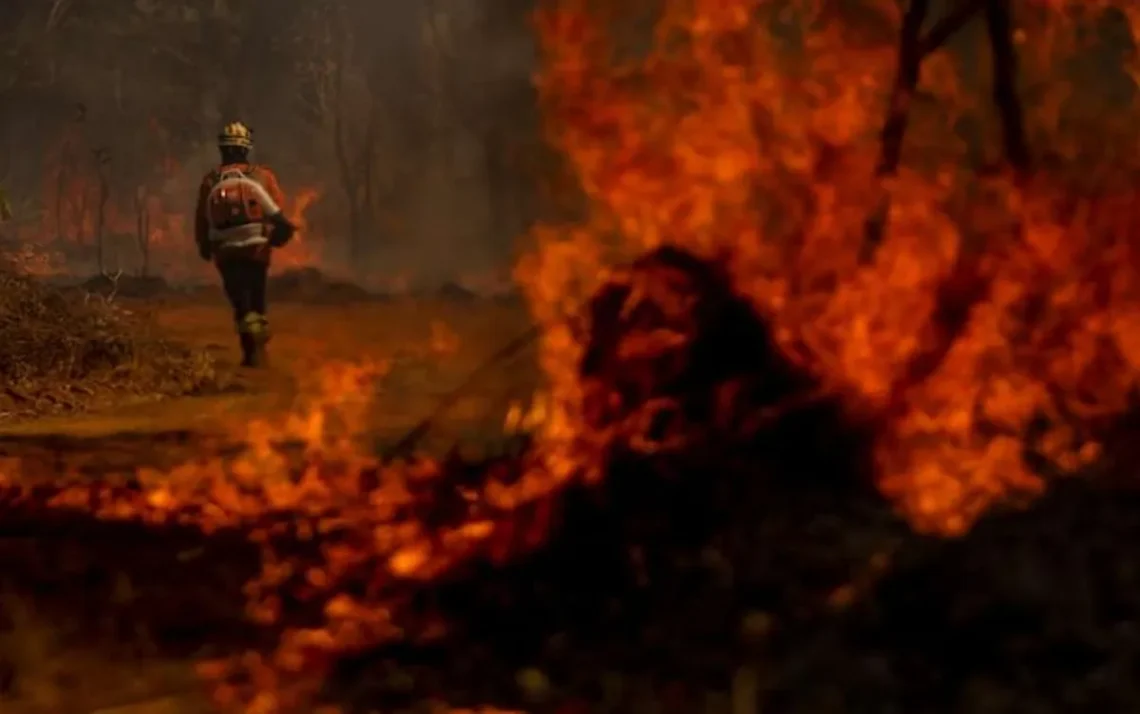 Brigadistas do Distrito Federal combatem incêndio em área de Cerrado próxima ao aeroporto de Brasília. Foto: Marcelo Camargo/Agência Brasil / Estadão Brigadistas do Distrito Federal combatem incêndio em área de Cerrado próxima ao aeroporto de Brasília. Foto: Marcelo Camargo/Agência Brasil / Estadão - Todos os direitos: @ Terra