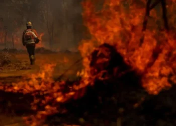 Brigadistas do Distrito Federal combatem incêndio em área de Cerrado próxima ao aeroporto de Brasília. Foto: Marcelo Camargo/Agência Brasil / Estadão Brigadistas do Distrito Federal combatem incêndio em área de Cerrado próxima ao aeroporto de Brasília. Foto: Marcelo Camargo/Agência Brasil / Estadão - Todos os direitos: @ Terra