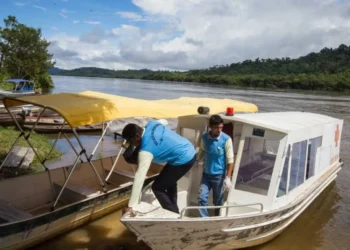 doença, infecciosa, programa, inovador;