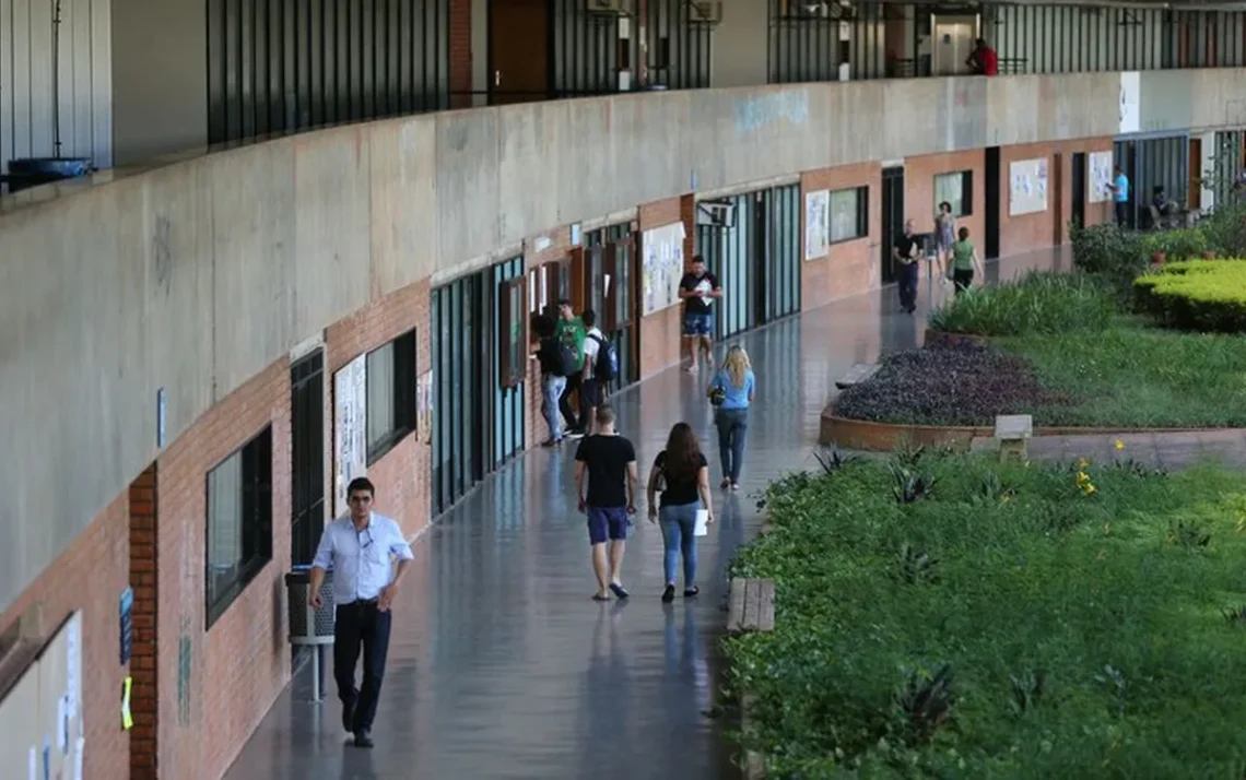 educação, ensino, superior;