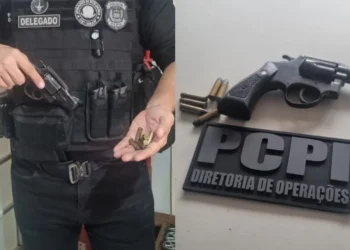 polícia civil, delegados, criminalidade