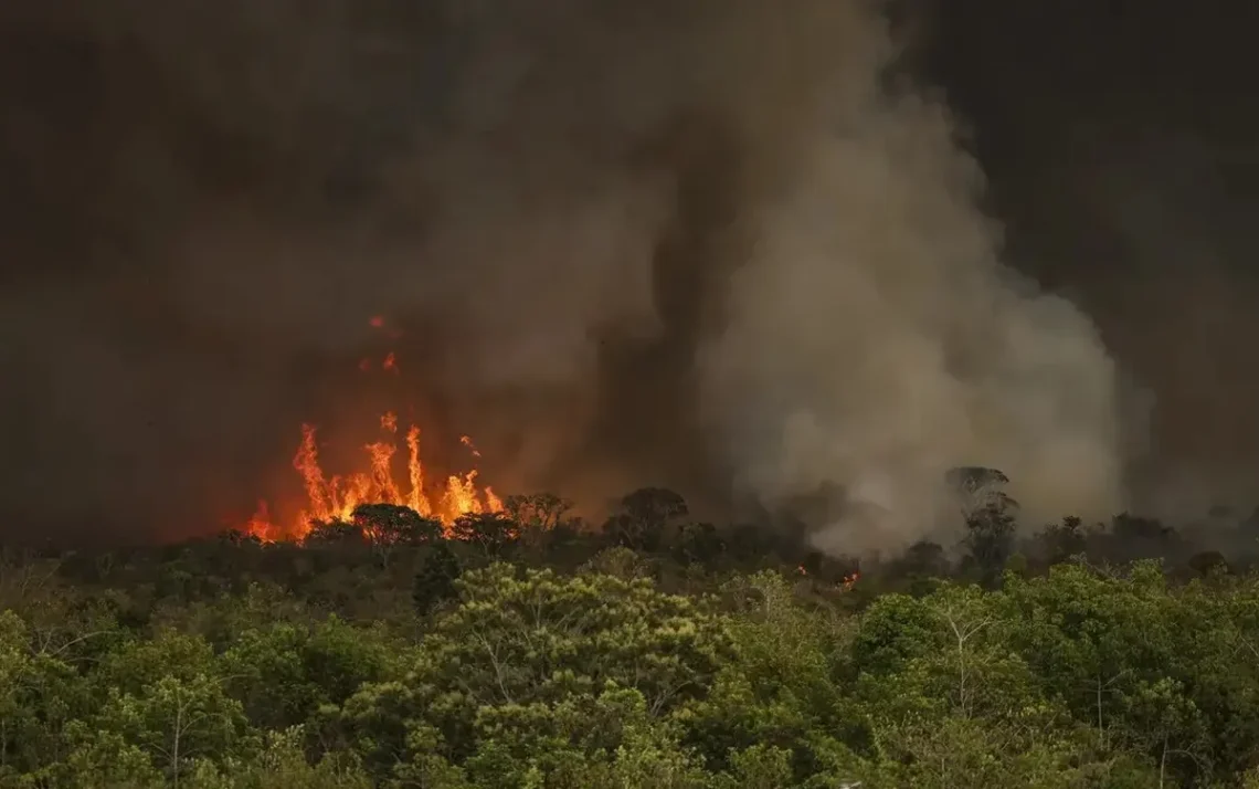 incêndios florestais, queimadas, desmatamento;