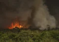 incêndios florestais, queimadas, desmatamento;