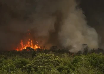 incêndios florestais, queimadas, desmatamento;