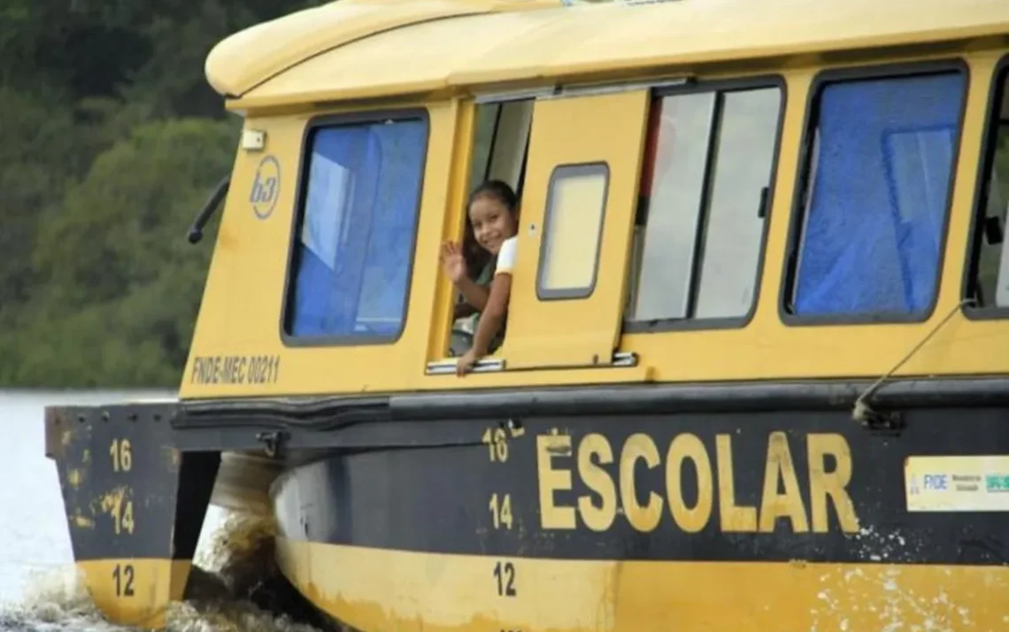 transporte escolar, transporte terrestre, transporte aquaviário, transporte de crianças;