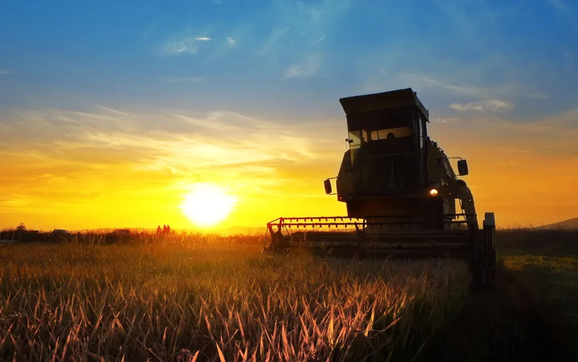 alimentos, commodities, preços';