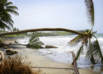 abalo-térmico, onda-de-impacto, impacto-oceânico;